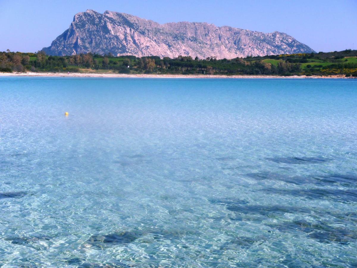 Appartamento In Residence Fronte Mare Murta Maria Bagian luar foto
